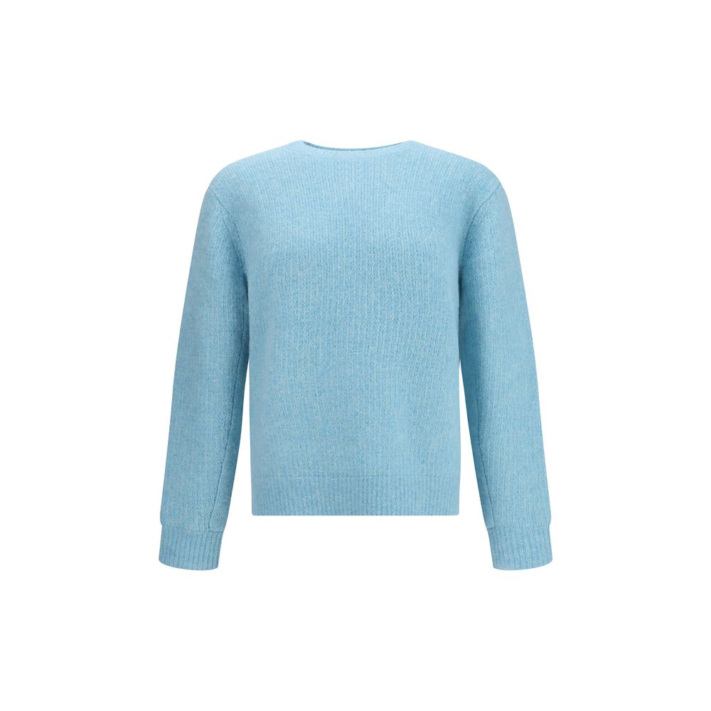 Sunflower Light Blue Alpaca Vicugna Pacos Sweatshirt
